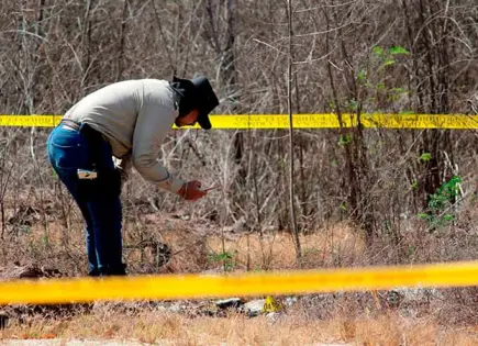 Localizan un campo de exterminio en Reynosa