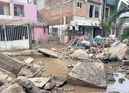 AMIS: Pérdidas son por 550 mdp