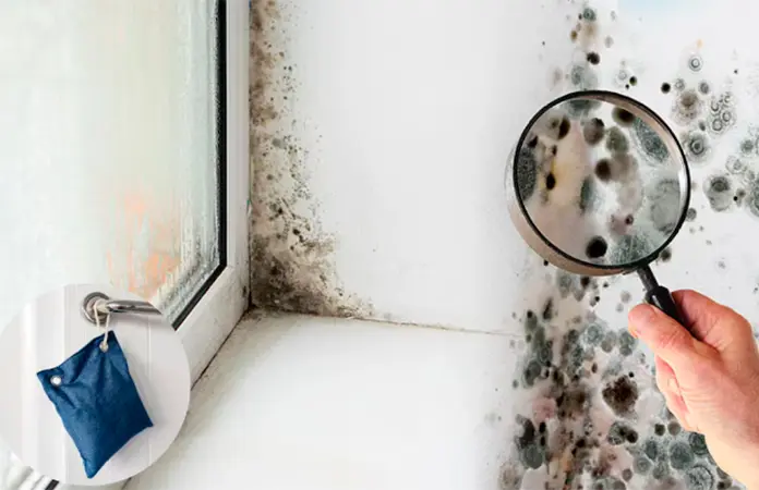 Cómo construir un deshumidificador casero y mejorar tu calidad de vida