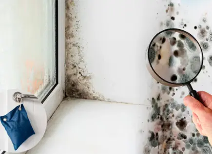 Cómo construir un deshumidificador casero y mejorar tu calidad de vida