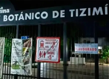 Muerte de Jaguar en Zoológico La Reina de Yucatán Desencadena Clausura Temporal