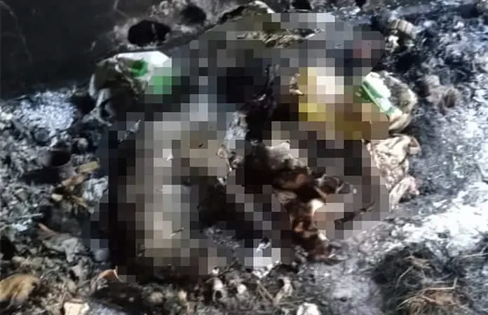 Denuncian presunta quema de un perro