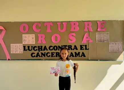 Dona municipio trenzas para pelucas oncológicas