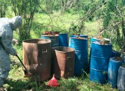 Ejecutan operativos la Guardia Nacional y Sedena en México Ejecutan operativos la Guardia Nacional y Sedena en México