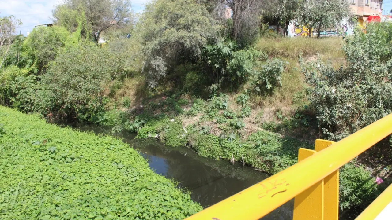 Foto: Omar Hernández/Pulso