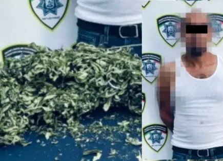 Salió de un baldío con planta de marihuana; fue detenido