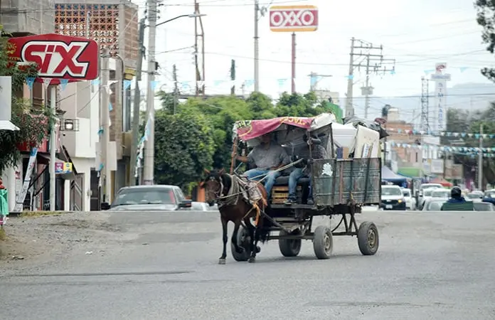 Urge Gallardo a combatir el maltrato animal
