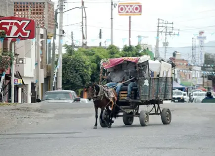 Urge Gallardo a combatir el maltrato animal Urge Gallardo a combatir el maltrato animal