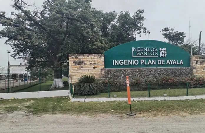 Cañeros, casi en la ruina por bajo precio del azúcar