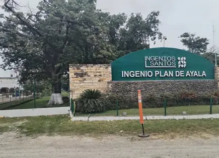 Cañeros, casi en la ruina por bajo precio del azúcar