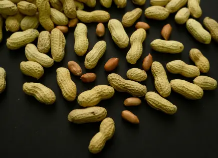 Reducción significativa de alergias al maní en niños: estudio revela impacto positivo Reducción significativa de alergias al maní en niños: estudio revela impacto positivo