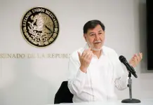 Pol&eacute;mica en el Senado por declaraciones de Gerardo Fern&aacute;ndez Noro&ntilde;a
