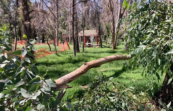 Admite Seduvop trabajos lentos en el Parque de Morales