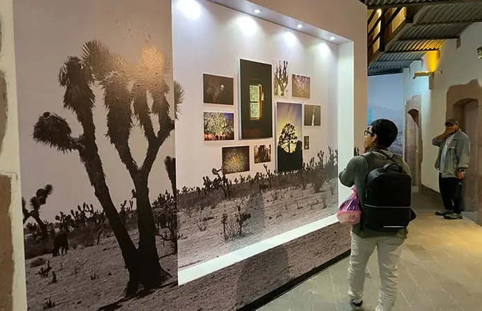 Exposiciones Aprender a mirar y Corpobiontismo