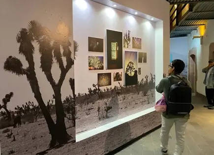 Exposiciones Aprender a mirar y Corpobiontismo