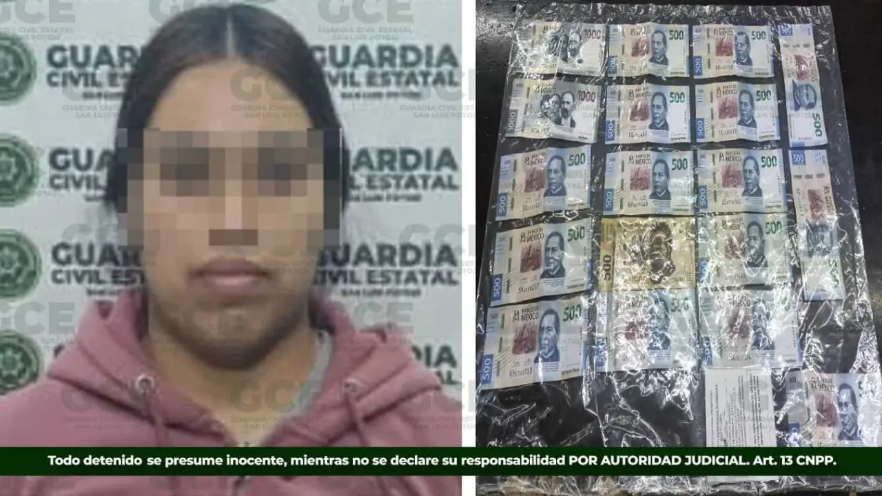 Fue asegurada tras denuncia ciudadana. | Foto SSPCE