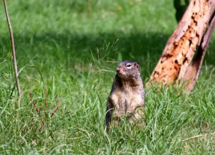 Foto del día: Fauna del Parque Morales se recupera tras las lluvias