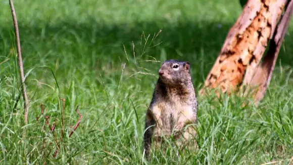 Foto del día: Fauna del Parque Morales se recupera tras las lluvias