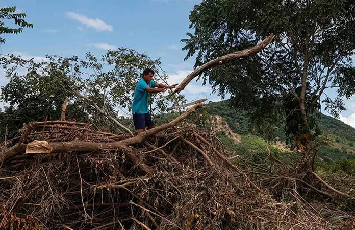 Asesinan a empresario citrícola en Álamo