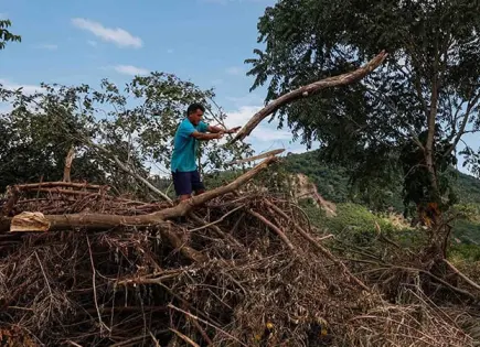 Asesinan a empresario citrícola en Álamo