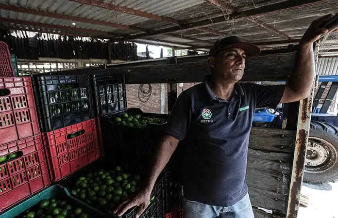 Cárteles obtienen casi 4 mmp de productores