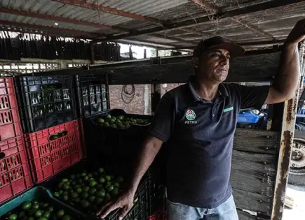 Cárteles obtienen casi 4 mmp de productores