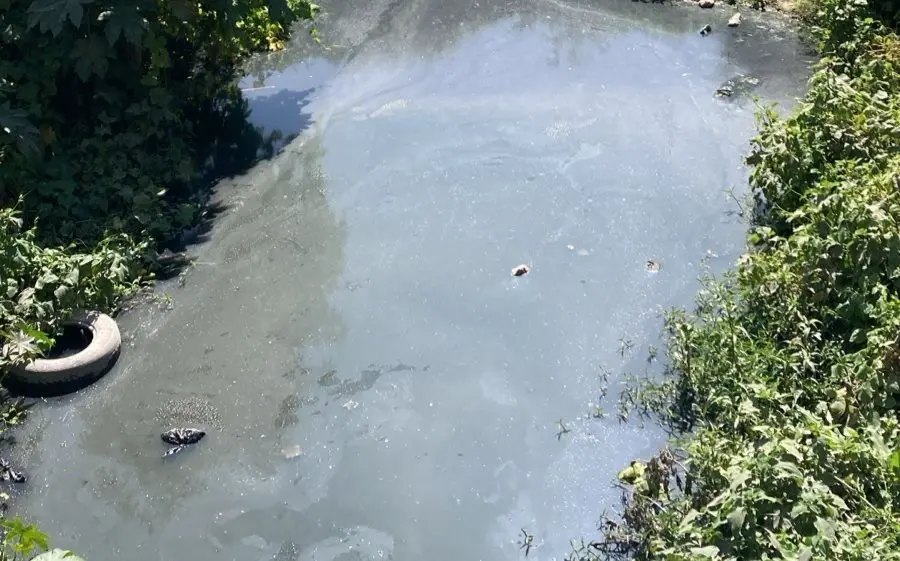 Foto: Alberto Martínez/Pulso