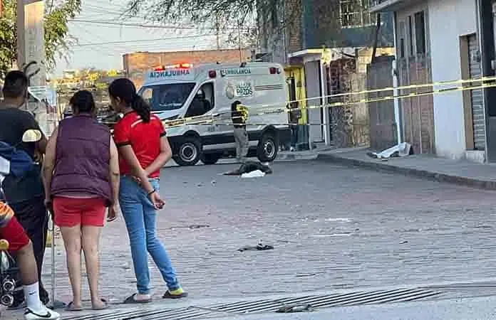 Ejecutan a madre e hijo en V. de Pozos
