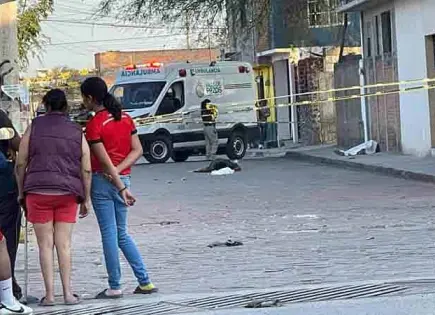 Ejecutan a madre e hijo en V. de Pozos