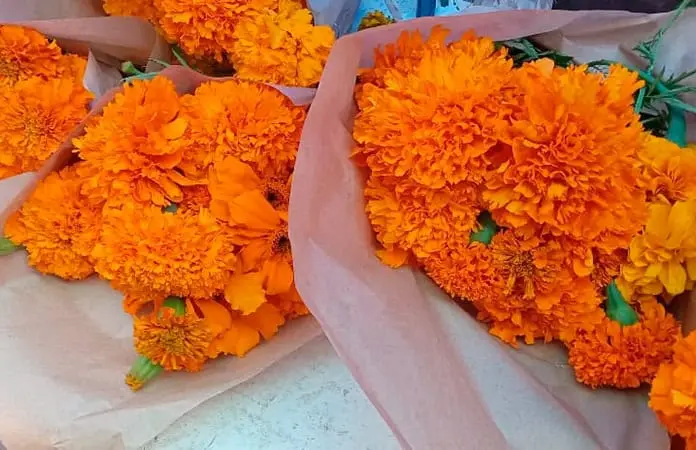 Instalan puestos de cempasúchil