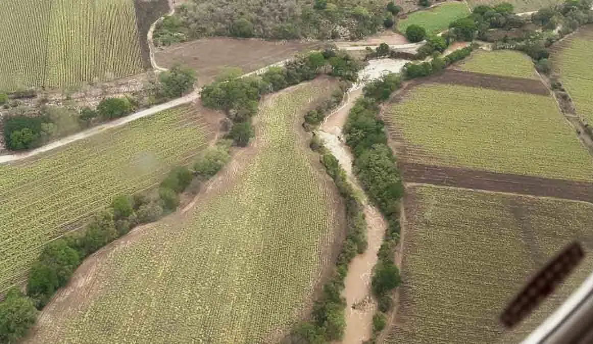 Afectaciones en casi 8 mil hectáreas de la Huasteca por lluvias