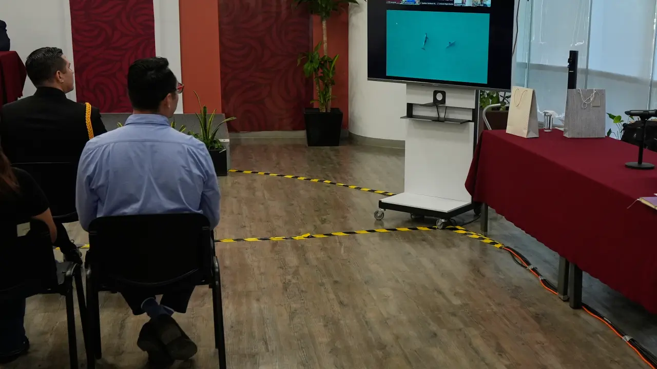 Avistan vaquita marina en el Golfo de California durante expedición