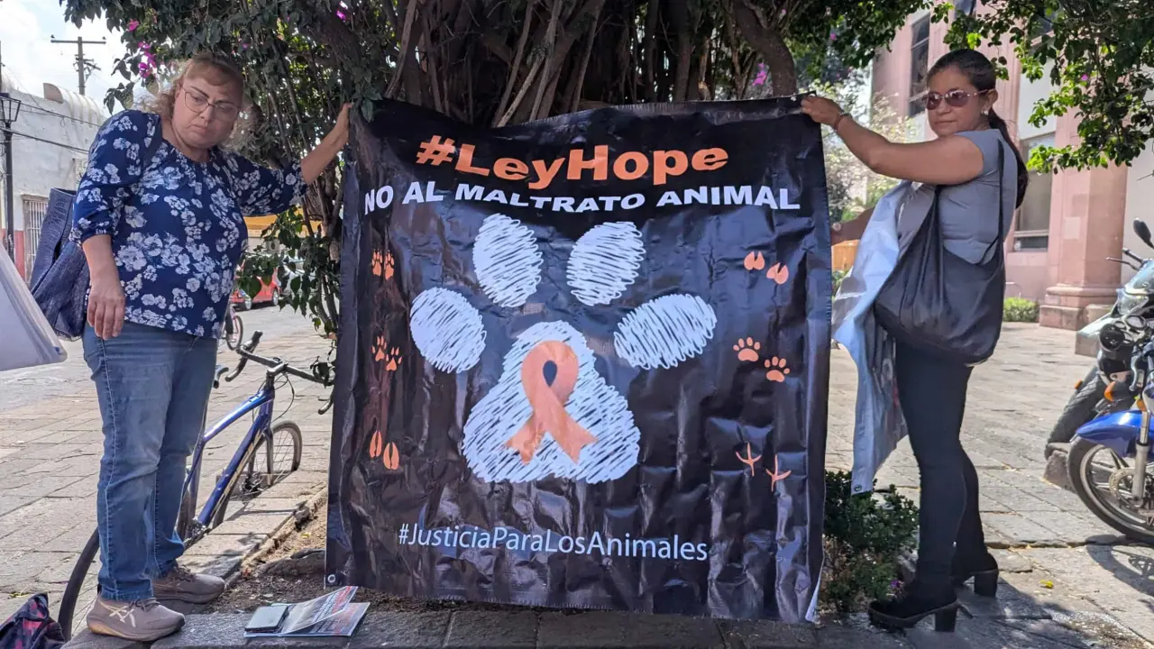 Foto: Citlally Montaño/Pulso