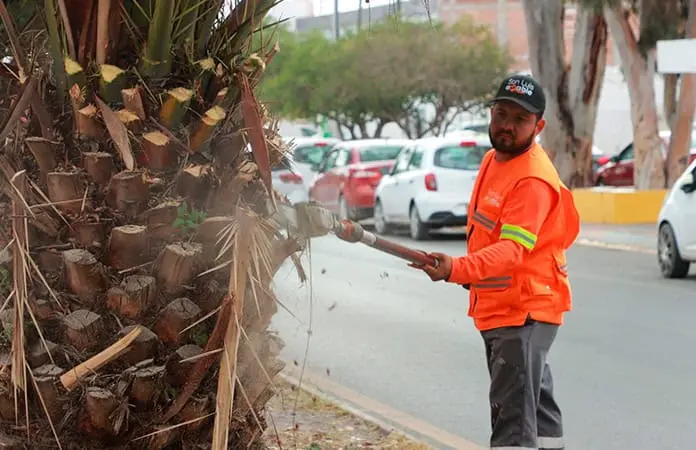 SLP, el quinto entre gobiernos más eficaces