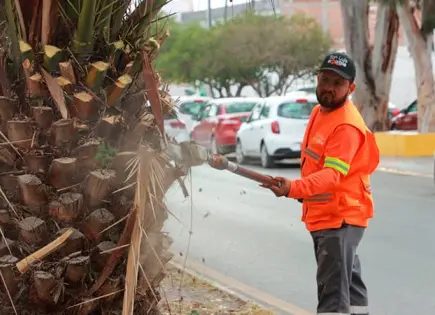 SLP, el quinto entre gobiernos más eficaces