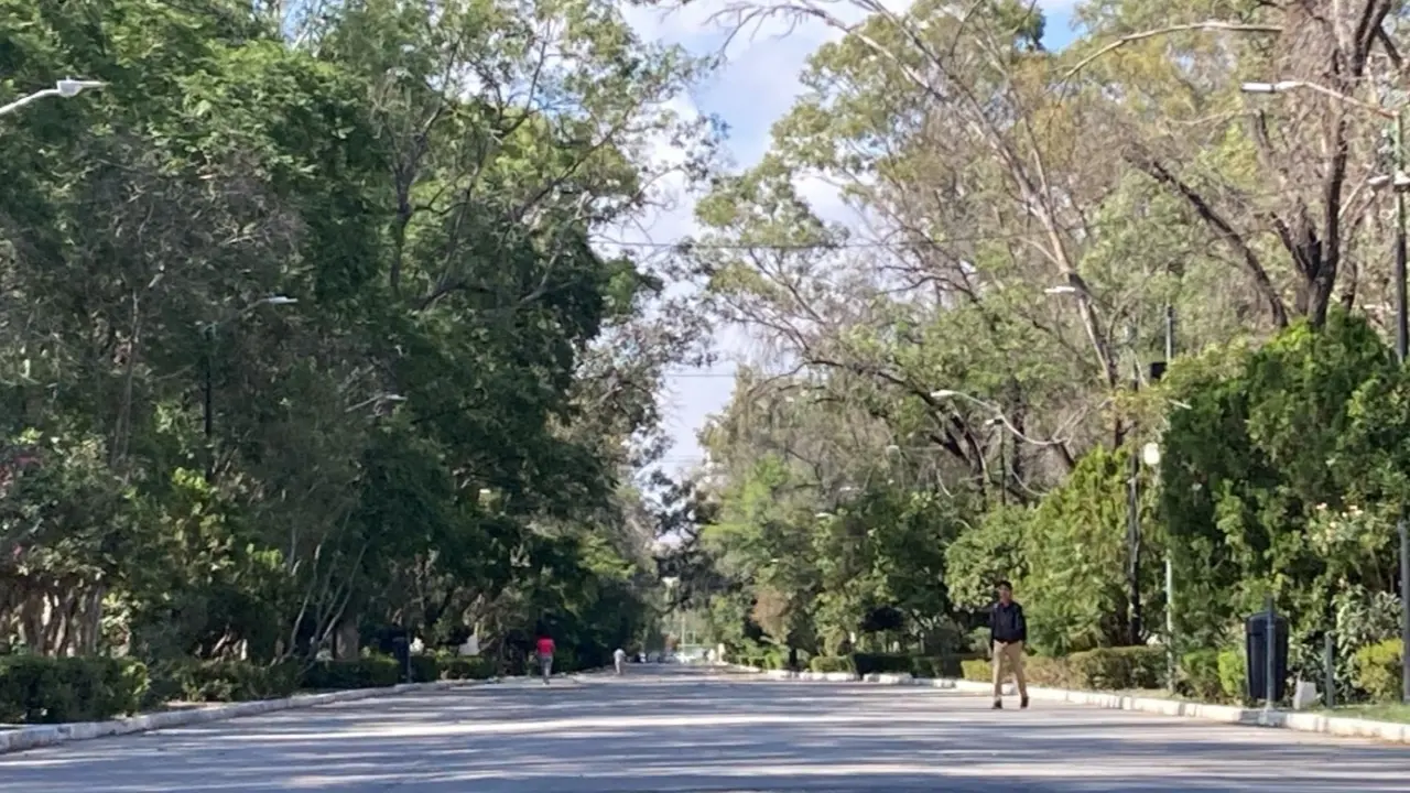 Foto: Alberto Martínez/Pulso