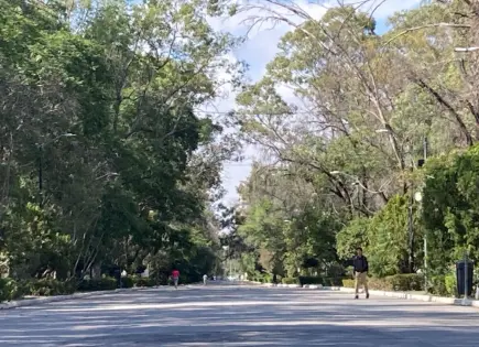 Suspenden mercadito de Morales por falta de permiso y altos cobros Suspenden mercadito de Morales por falta de permiso y altos cobros