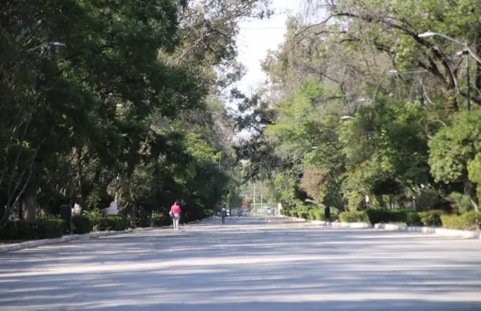 Suspenden “mercadito” de Morales