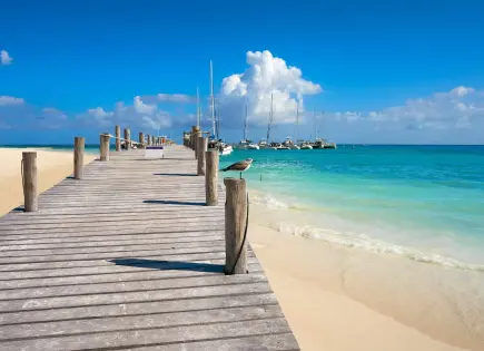 5 lugares de la Riviera Maya que amarás recorrer en auto