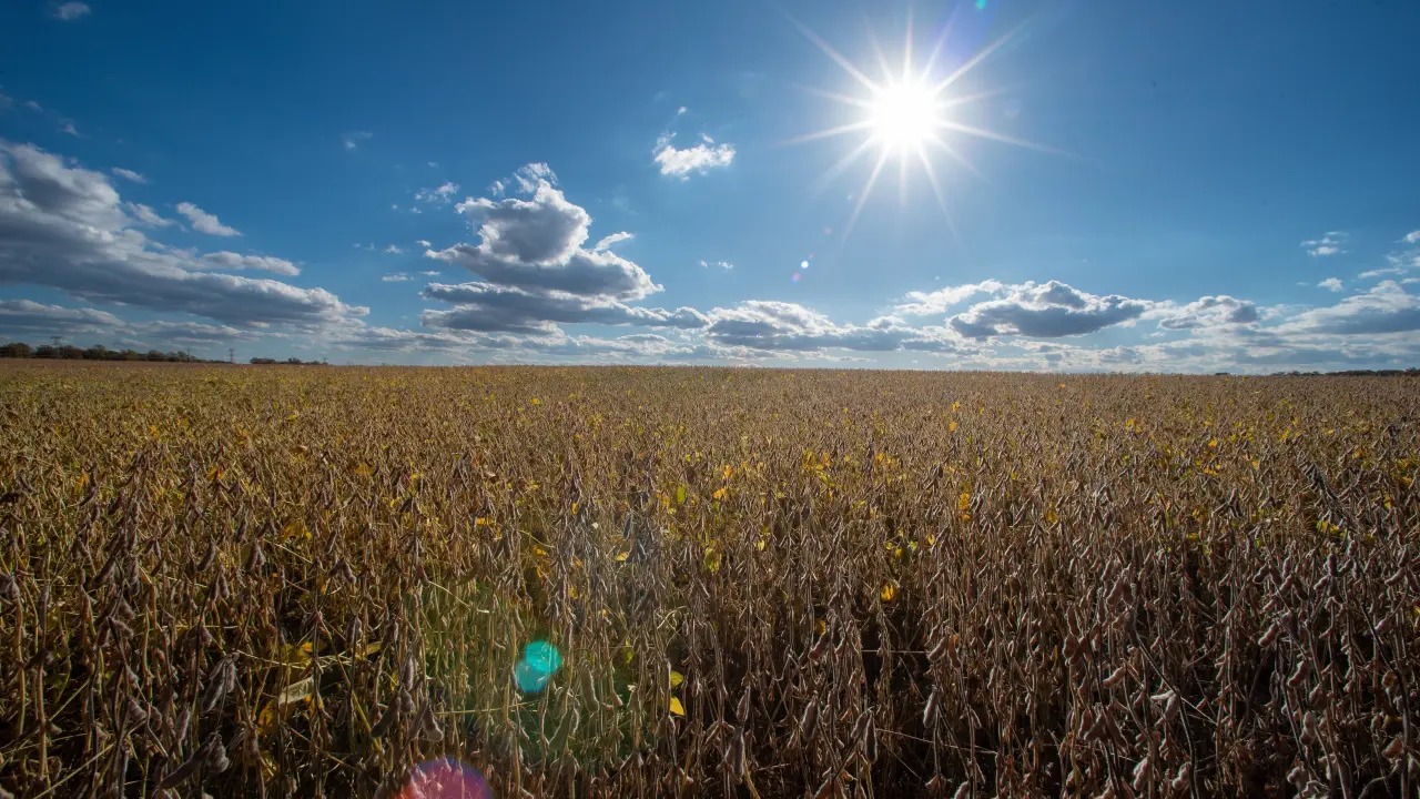 Senado aprueba resolución que cuestiona aranceles de Trump
