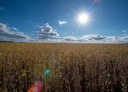 Senado aprueba resolución que cuestiona aranceles de Trump