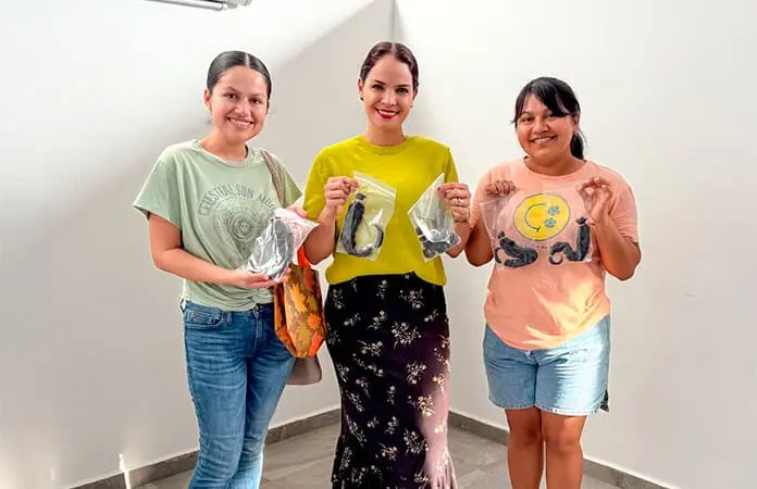 Donan trenzas para pelucas