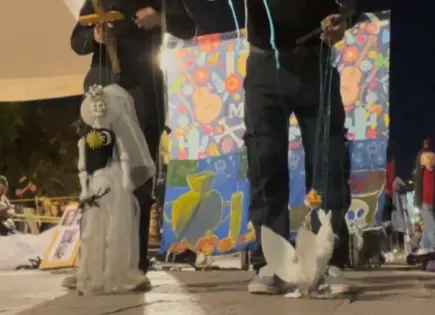 Saltinbanquis: el arte callejero que resiste en el corazón de SLP