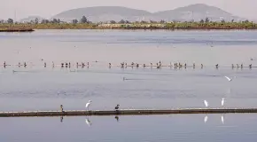 Claudia Sheinbaum destaca transformaci&oacute;n del Parque Ecol&oacute;gico Lago Texcoco