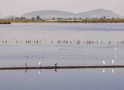 Claudia Sheinbaum destaca transformación del Parque Ecológico Lago Texcoco Claudia Sheinbaum destaca transformación del Parque Ecológico Lago Texcoco