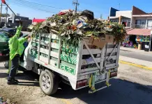 D&iacute;a de Muertos deja decenas de toneladas de basura en Soledad