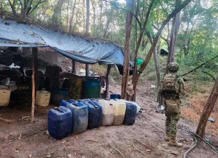 Ejército desmantela laboratorio y campamento del narco en Sinaloa Ejército desmantela laboratorio y campamento del narco en Sinaloa