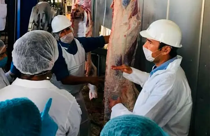 Baja matanza de animales en Rastro