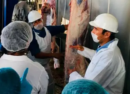 Baja matanza de animales en Rastro