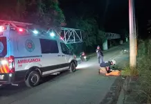 Mortandad vial, muy alta en SLP Mortandad vial, muy alta en SLP